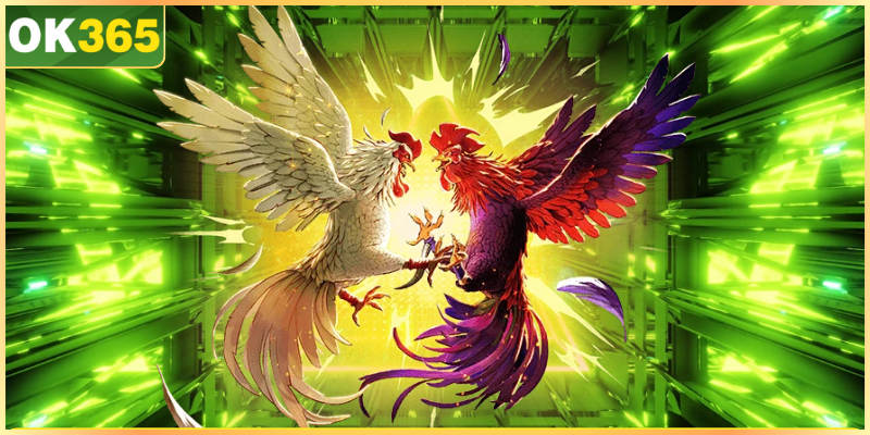 Một vài quy tắc cần nắm rõ